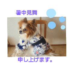 [LINEスタンプ] ぱぴぱぴパピヨン7