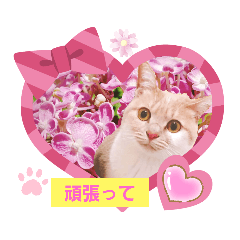 [LINEスタンプ] 日常会話スタンプニャン