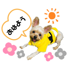 [LINEスタンプ] わんちゃんLIFE