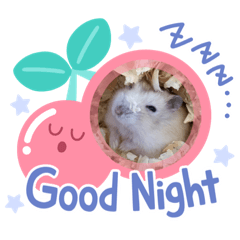 [LINEスタンプ] ハムちゃん‘S