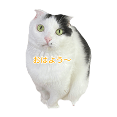 [LINEスタンプ] モオくんの日常