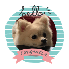 [LINEスタンプ] うちの潤ちゃん二巻