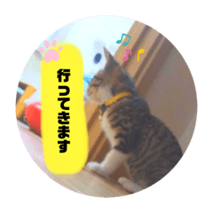 [LINEスタンプ] きなこ©