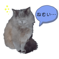 [LINEスタンプ] うちのねこたちとどうぶつ