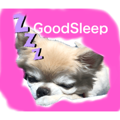 [LINEスタンプ] ルイとグリコと仲間たち