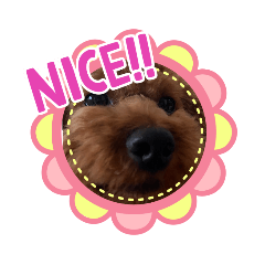 [LINEスタンプ] ぷふく