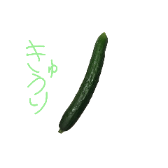 [LINEスタンプ] kyuuriman