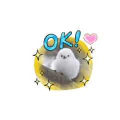[LINEスタンプ] シマエナガちゃん2