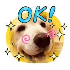 [LINEスタンプ] ゴルちゃんネコちゃんとの生活