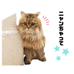 [LINEスタンプ] wutengshengli4