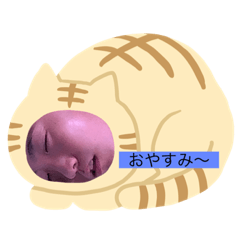 [LINEスタンプ] ハッピになるよ