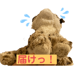 [LINEスタンプ] くま吉、念願のスタンプデビュー
