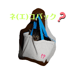 [LINEスタンプ] BooKiKiスタンプ