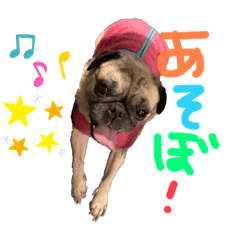 [LINEスタンプ] ブーだよ！！