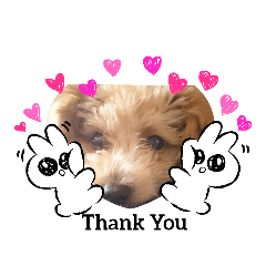 [LINEスタンプ] イケメントイプー
