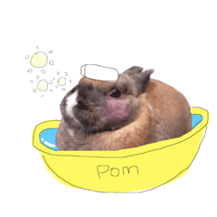 [LINEスタンプ] また白ソックスを履いたぽむ*