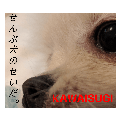 [LINEスタンプ] カワイイわんこ(犬のこと)スタンプ！