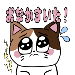 [LINEスタンプ] お腹がすいた猫！