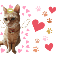 [LINEスタンプ] 6ニャンズ♡‴