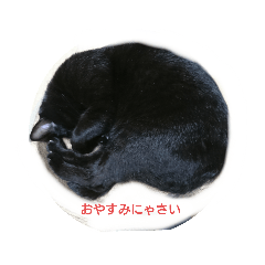 [LINEスタンプ] うちのにゃーすたち