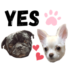 [LINEスタンプ] タル＆ペリー