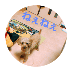 [LINEスタンプ] みんなのアイドルちくわ先生！