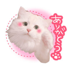 [LINEスタンプ] アロンくんの日常