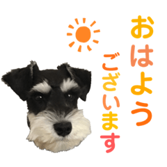 [LINEスタンプ] ソル②