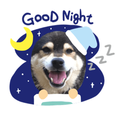 [LINEスタンプ] kurochannel2