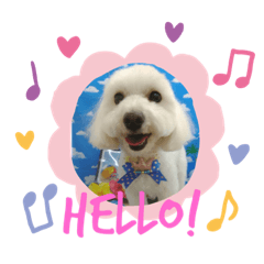 [LINEスタンプ] ロン-マルプー