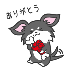 [LINEスタンプ] ラッキー☆チワワ