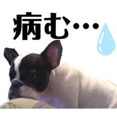 [LINEスタンプ] プピロコ5