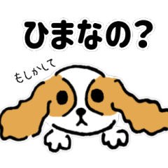 [LINEスタンプ] キャバリアに言われても