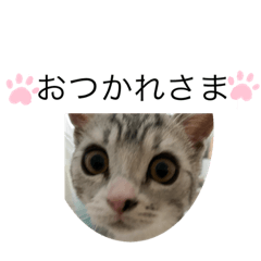 [LINEスタンプ] 麦日和 其の二