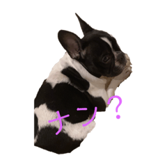 [LINEスタンプ] MOKO0720