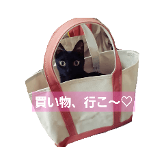 [LINEスタンプ] ぽてち日和