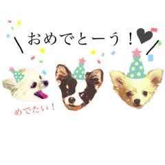 [LINEスタンプ] chiro♡2