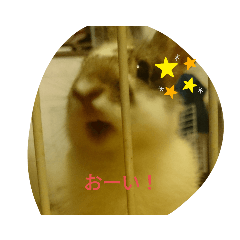 [LINEスタンプ] うーたんといつも一緒