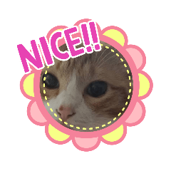 [LINEスタンプ] chee1203