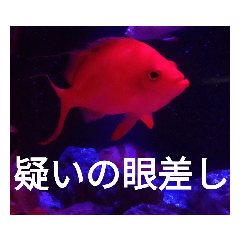 [LINEスタンプ] 動物たちが受け答え