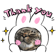 [LINEスタンプ] ねこのイヴちゃん