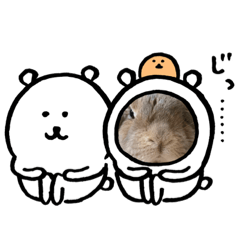 [LINEスタンプ] 晴くま＆杏くま