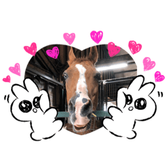 [LINEスタンプ] 可愛くて面白い馬5