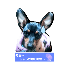 [LINEスタンプ] ラブリーミニピンズ