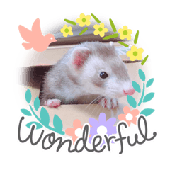 [LINEスタンプ] フェレットとハリネズミ