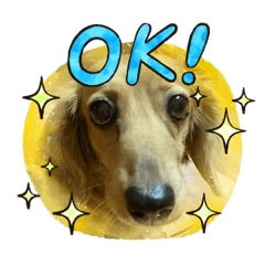 [LINEスタンプ] TEToちゃん