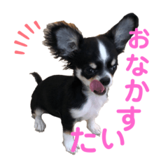 [LINEスタンプ] くうたのかわいいスタンプ