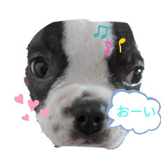 [LINEスタンプ] 可愛いパンくん2