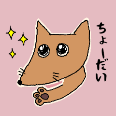 [LINEスタンプ] コンちゃん【日常会話】使えるスタンプ