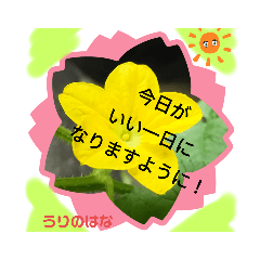 [LINEスタンプ] 野菜の心♡の画像（メイン）